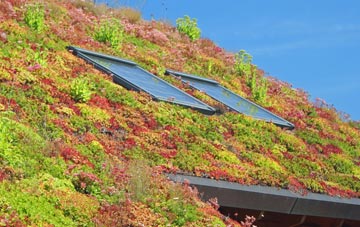 Black Heddon living roof systems